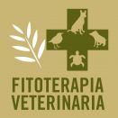 La fitoterapia como alternativa terapéutica para combatir las resistencias antimicrobianas en veterinaria