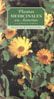 Plantas medicinales en Asturias y la Cornisa Cantábrica. Gijón: Ediciones Trea, 1997, 291 págs. ISBN.: 84-89427-58-5. 