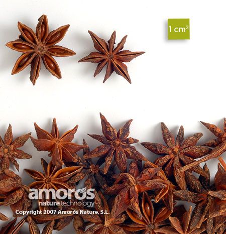 Anís estrellado, fruto (<i>Illicium verum</i> Hook.)