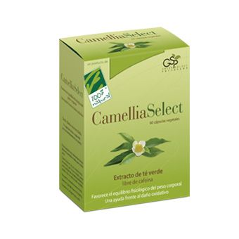 CamelliaSelect. Extracto de té verde fitosomado y libre de cafeína. Cápsulas con 150 mg de Fitosoma de té verde, con una absorción mejorada. También contiene 20 mg de ácido L-ascórbico y 4 mg de gluconato de zinc. Caja de 60 cápsulas vegetales, en blíster. Complemento alimenticio. CN: 179428.4. 