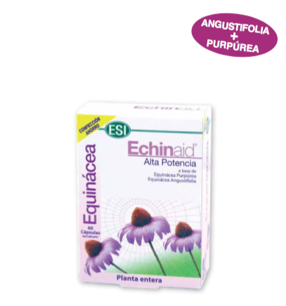 Echinaid Alta Potencia Cápsulas. Caja de 60 cápsulas de 500 mg, en blíster. Cada cápsula contiene equinácea purpúrea (270 mg de extracto seco estandarizado, 75 mg de extracto seco (4:1) de planta entera y 30 mg de extracto seco de raíz, 2% ácido chicórico) y 5 mg de extracto seco de raíz de equinácea angustifolia (4% equinacósidos). Complemento alimenticio.