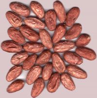 Oxygen Radical Absorbance Capacity (ORAC): Una herramienta de referencia para medir la capacidad antioxidante de alimentos y plantas medicinales