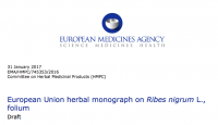Final European Union herbal monograph on <i>Ribes nigrum</i> L., folium. London: EMA. Doc Ref: EMA/HMPC/745353/2016. Adopted: 19/12/2017.