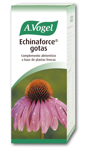 Echinaforce Gotas. A base de equinácea fresca de cultivo biológico certificado. Frascos 50 ml y 100 mL. 1 mL de gotas contiene: <i>Echinacea purpurea herba</i>, 860 mg; <i>Echinacea purpurea radix</i>, 45 mg. 1 mL = 33 gotas 