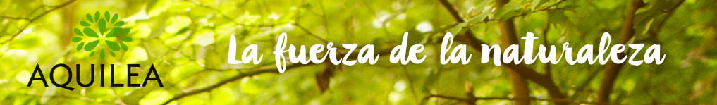 Banner laboratorio