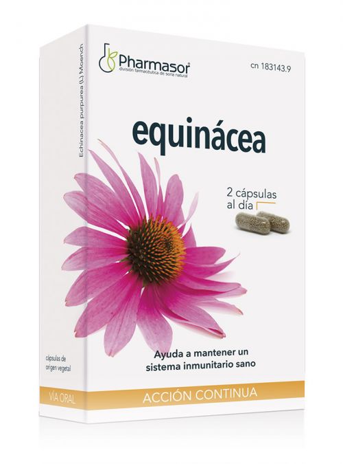 Equinácea Cápsulas Pharmasor. 30 cápsulas de 690 mg. Composición por cápsula: 300 mg de extracto liofilizado de equinácea (<i>Echinacea purpurea</i> (L) Moench, parte aérea) con un aporte de 3 mg de derivados cafeicos (ácido cichórico) y 1,5 mg de flavonoides; estabilizante: celulosa microcristalina, agente de recubrimiento: copolímero de metacrilato neutro, cápsulas (hidroxipropilmetilcelulosa). CN: 183143.9.
