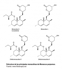 Webinar de Arkopharma: Hipercolesterolemia, tratamientos y alternativas naturales: Evidencia científica de la Levadura roja de arroz