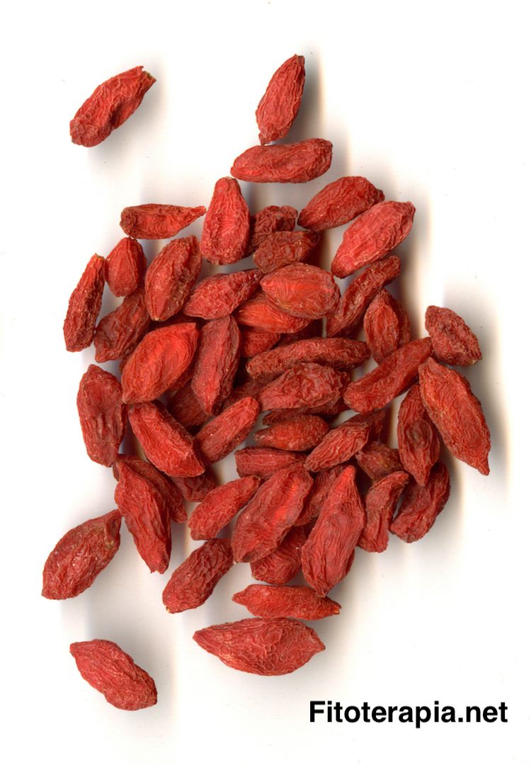 Goji, fruto