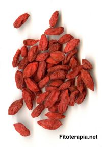 Extracción y purificación de zeaxantina a partir de frutos de Goji