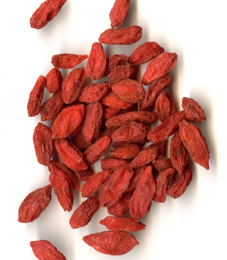 Goji, fruto