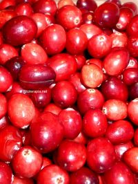 Potencial del arándano americano en el tratamiento de las candidiasis