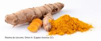 Potencial terapéutico de la curcumina en la esclerosis múltiple