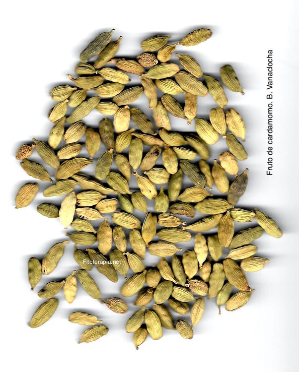 Cardamomo, fruto