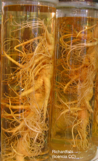 Control de calidad de plantas de la medicina tradicional china