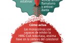 Levadura roja de arroz, escudo frente a la arteriosclerosis