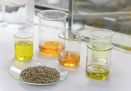 Patentan el uso del aceite de cáñamo para prevenir y tratar la fibromialgia