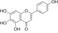 Perfil cromatográfico y determinación cuantitativa de compuestos de <i>Scutellaria barbata</i>