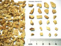 Usos tradicionales, componentes químicos bioactivos y actividades farmacológicas y toxicológicas de <i>Glycyrrhiza glabra</i> L. (Fabaceae)