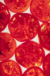 Potencial de los carotenoides en desórdenes neurodegenerativos