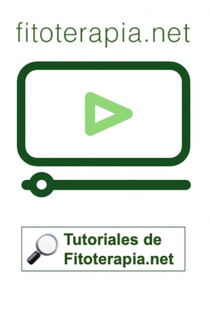 Inicio Inicio