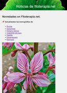 Newsletter de Fitoterapia.net, 9/6/2025
